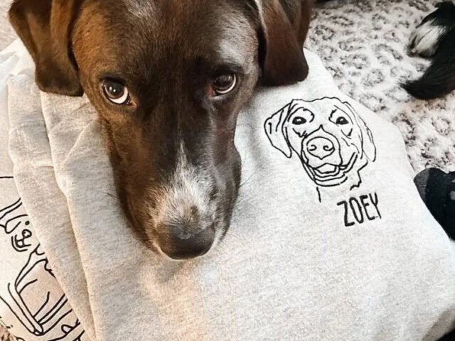 Custom Embroidered Dog Hoodie, Personalised Pet Portrait Outline Hood